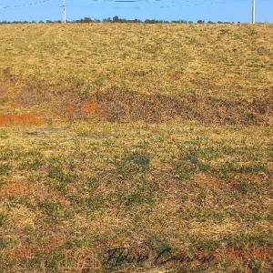 TERRENO PRÓXIMO AO CENTRO