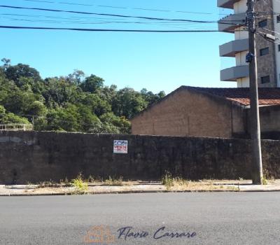 TERRENO CENTRO