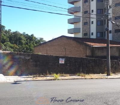 TERRENO CENTRO