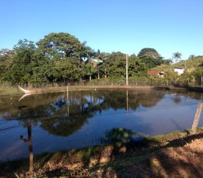 SITIO EM SERRA NEGRA-SP