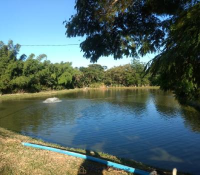 SITIO EM SERRA NEGRA-SP