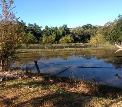 SITIO EM SERRA NEGRA-SP