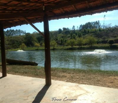 SITIO EM SERRA NEGRA-SP