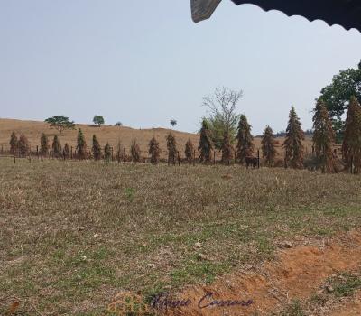 SITIO EM SERRA NEGRA