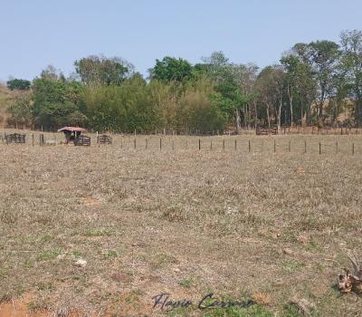 SITIO EM SERRA NEGRA