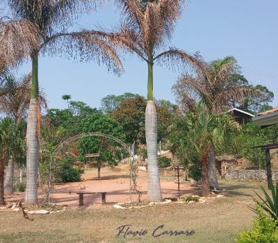 SITIO EM SERRA NEGRA