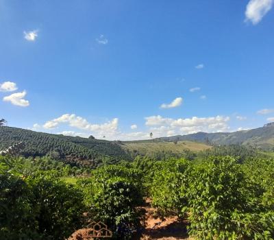 SITIO ROTA TURISTICA