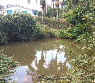 SITIO EM SERRA NEGRA SP