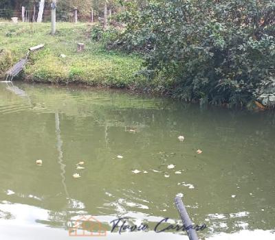 SITIO EM SERRA NEGRA SP