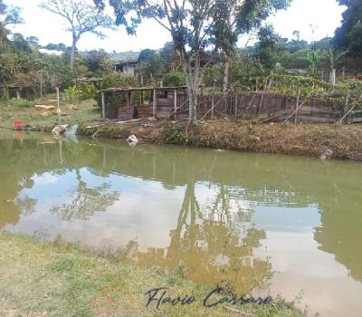 SITIO EM SERRA NEGRA SP