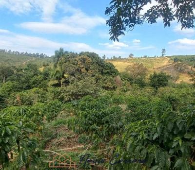 SITIO EM SERRA NEGRA SP