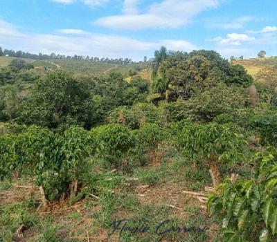 SITIO EM SERRA NEGRA SP