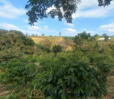 SITIO EM SERRA NEGRA SP