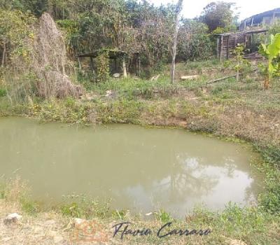 SITIO EM SERRA NEGRA SP