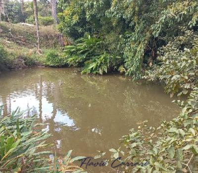 SITIO EM SERRA NEGRA SP