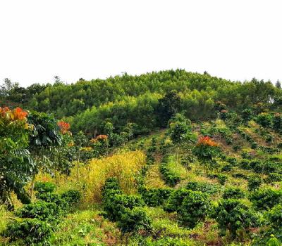 SITIO SERRA NEGRA SP