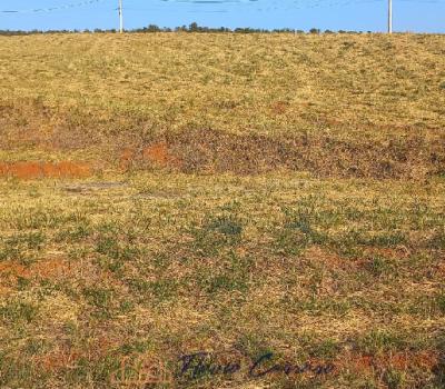 TERRENO PRÓXIMO AO CENTRO