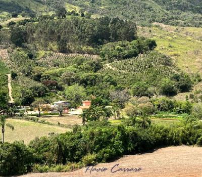 SITIO EM SERRA NEGRA-SP