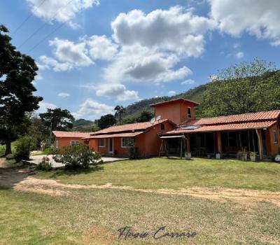 SITIO EM SERRA NEGRA-SP