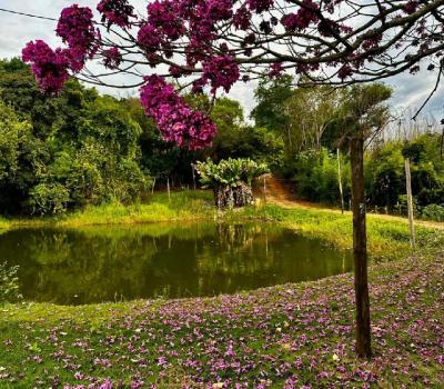 SITIO EM SERRA NEGRA-SP