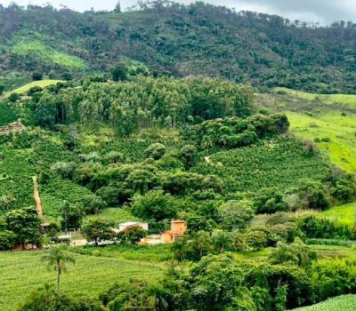 SITIO EM SERRA NEGRA-SP