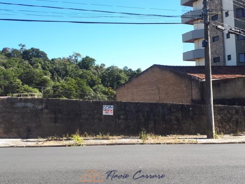 TERRENO CENTRO