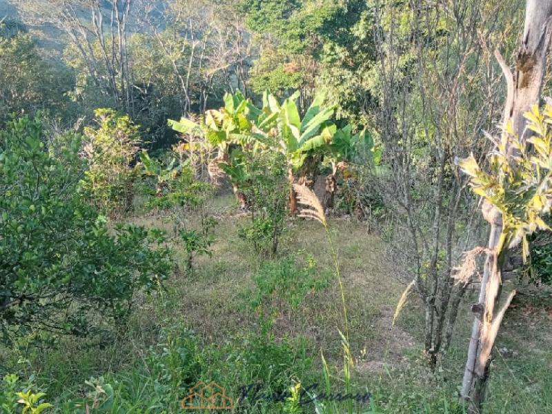 CHÁCARA EM SERRA NEGRA