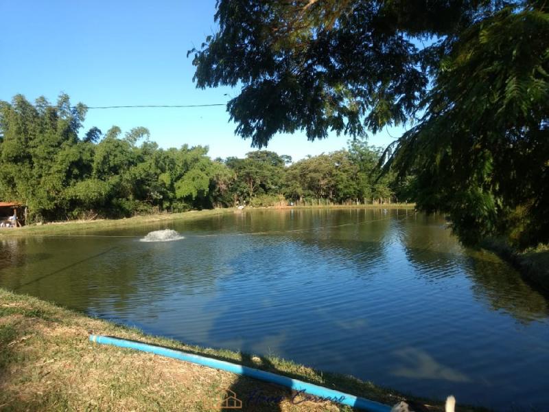 SITIO EM SERRA NEGRA-SP