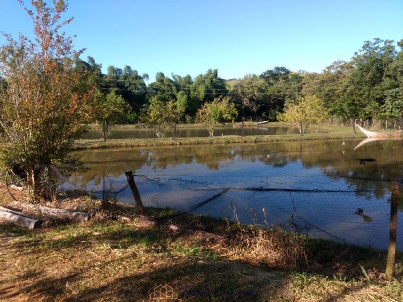 SITIO EM SERRA NEGRA-SP