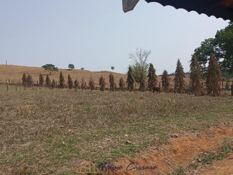 SITIO EM SERRA NEGRA