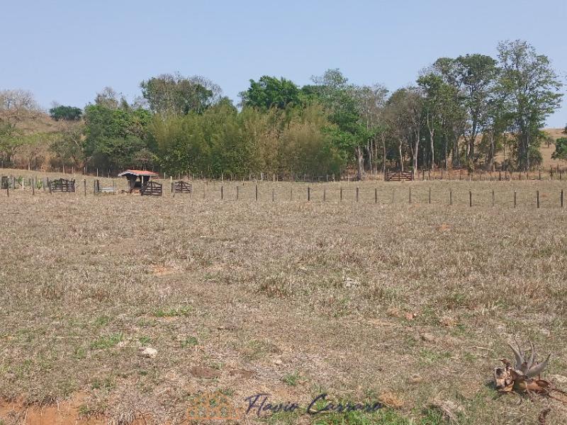 SITIO EM SERRA NEGRA