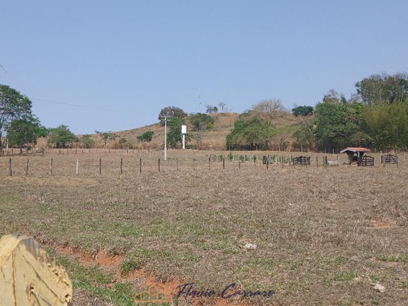 SITIO EM SERRA NEGRA