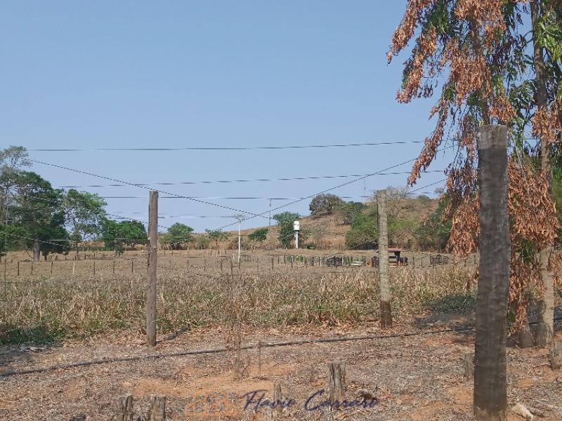 SITIO EM SERRA NEGRA