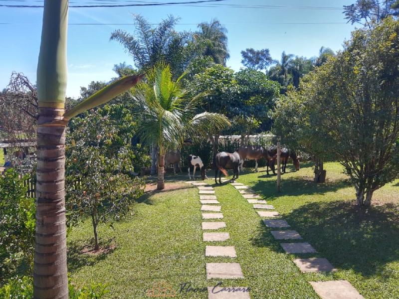 SITIO EM ITAPIRA SP
