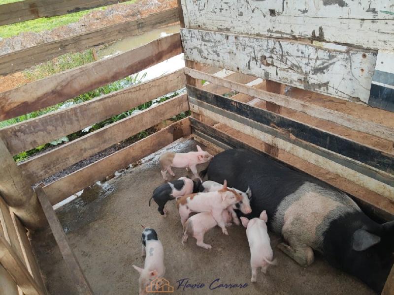 SITIO EM ITAPIRA SP