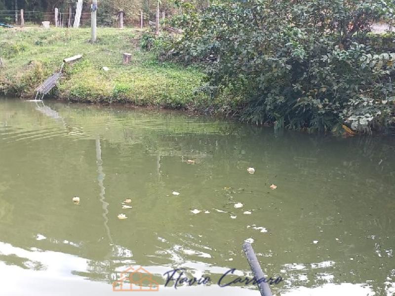 SITIO EM SERRA NEGRA SP