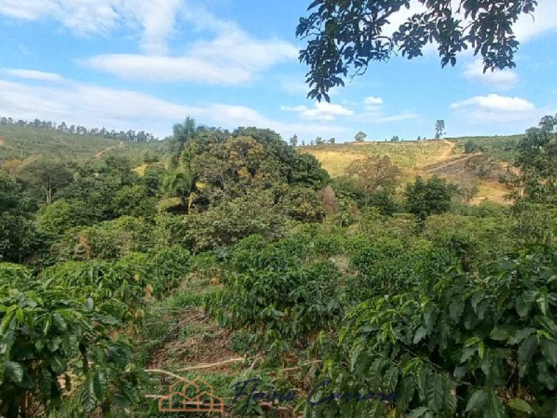 SITIO EM SERRA NEGRA SP