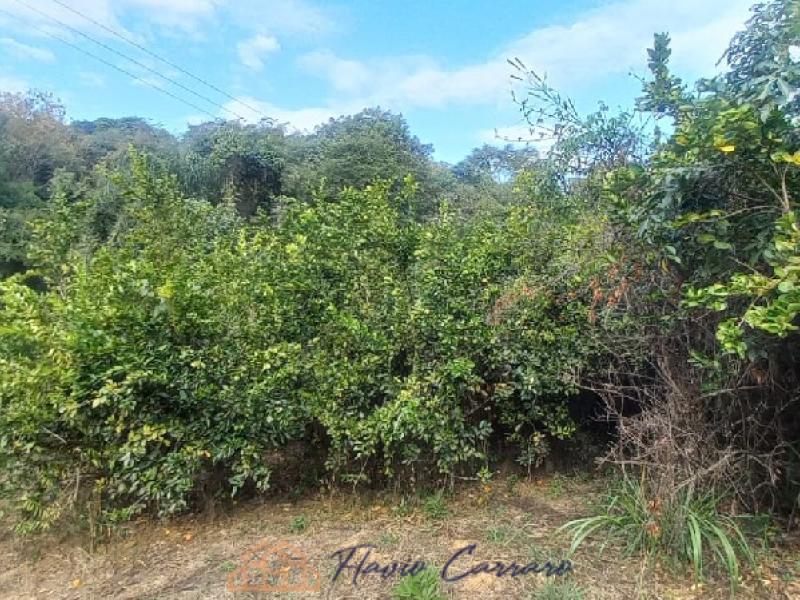 SITIO EM SERRA NEGRA SP