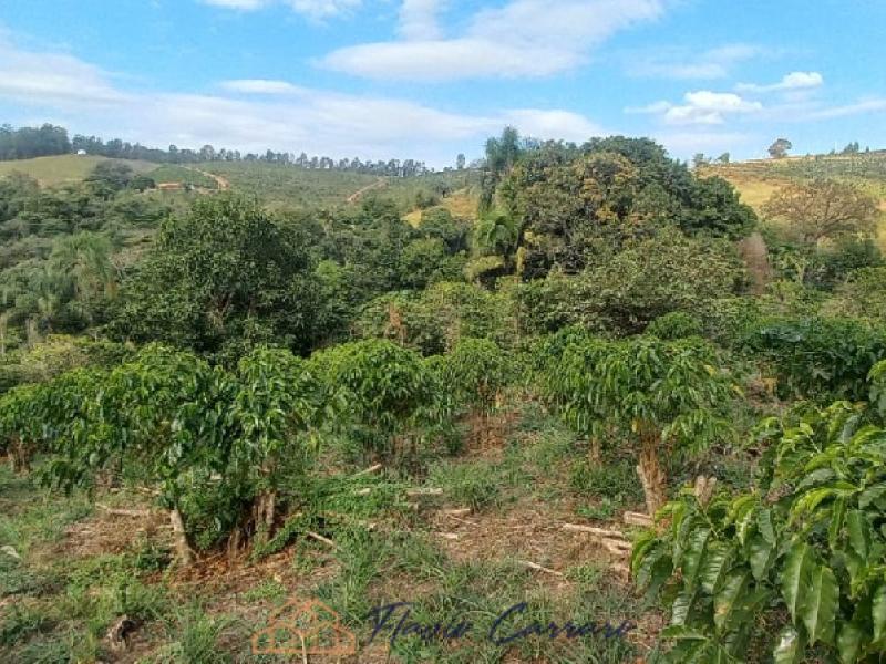 SITIO EM SERRA NEGRA SP