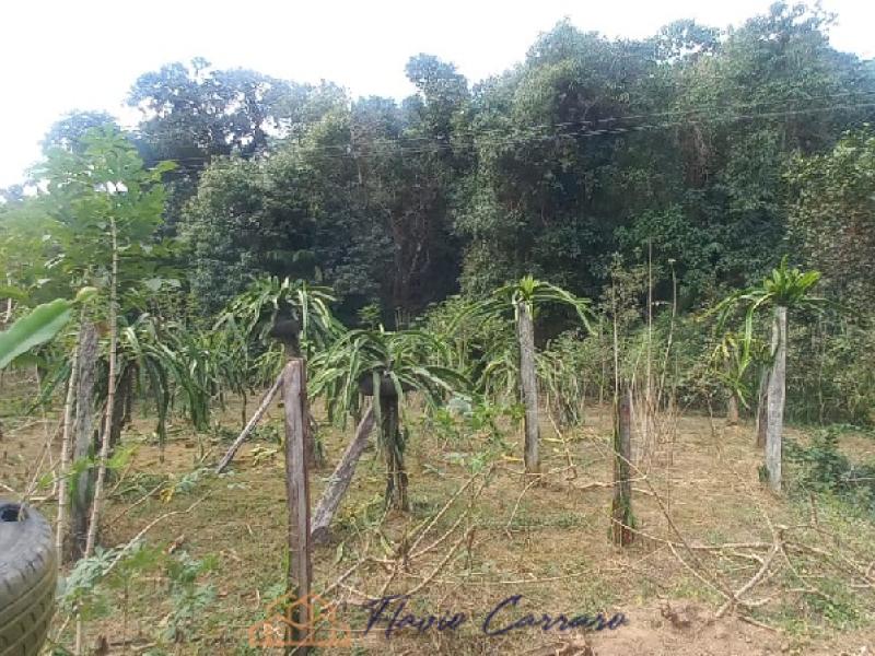 SITIO EM SERRA NEGRA SP