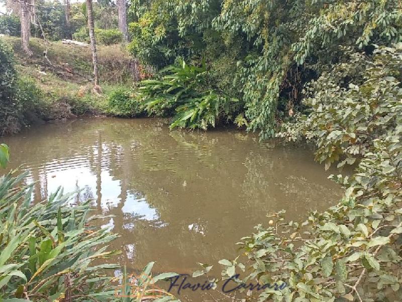 SITIO EM SERRA NEGRA SP