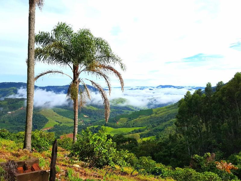 SITIO SERRA NEGRA SP