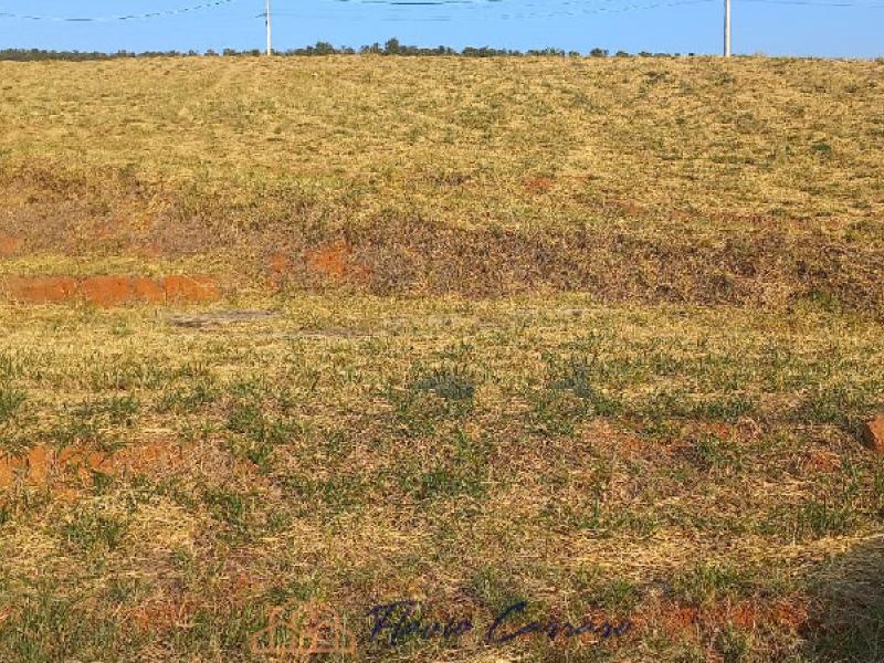 TERRENO PRÓXIMO AO CENTRO