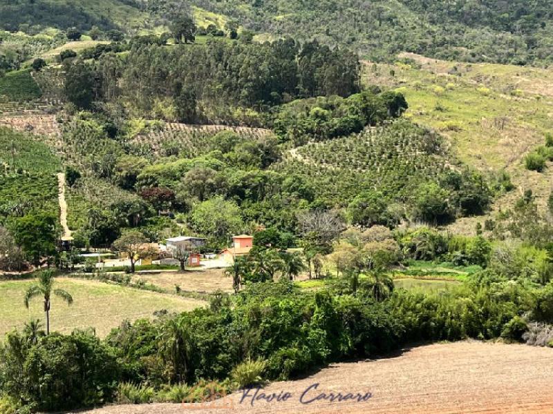 SITIO EM SERRA NEGRA-SP