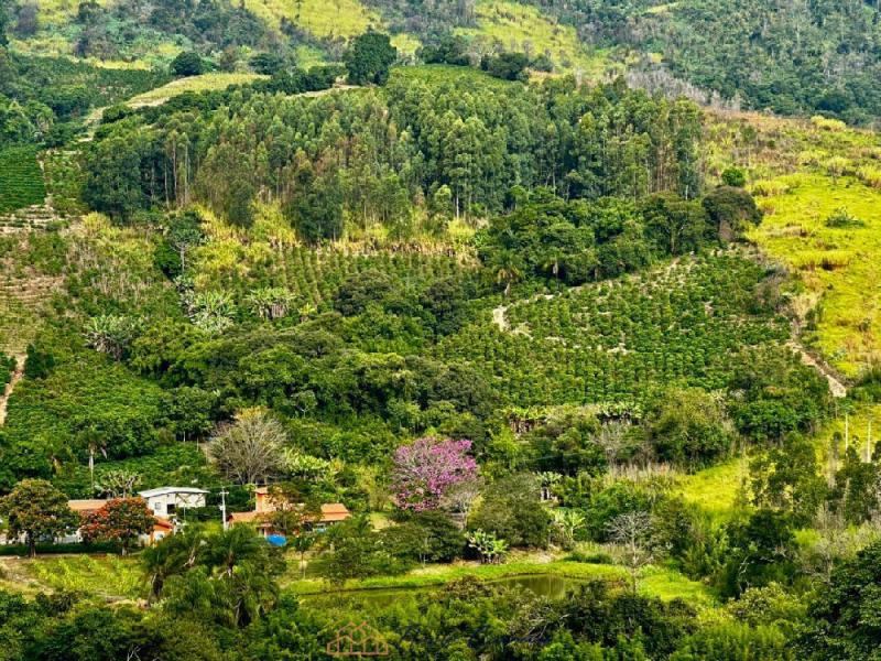 SITIO EM SERRA NEGRA-SP