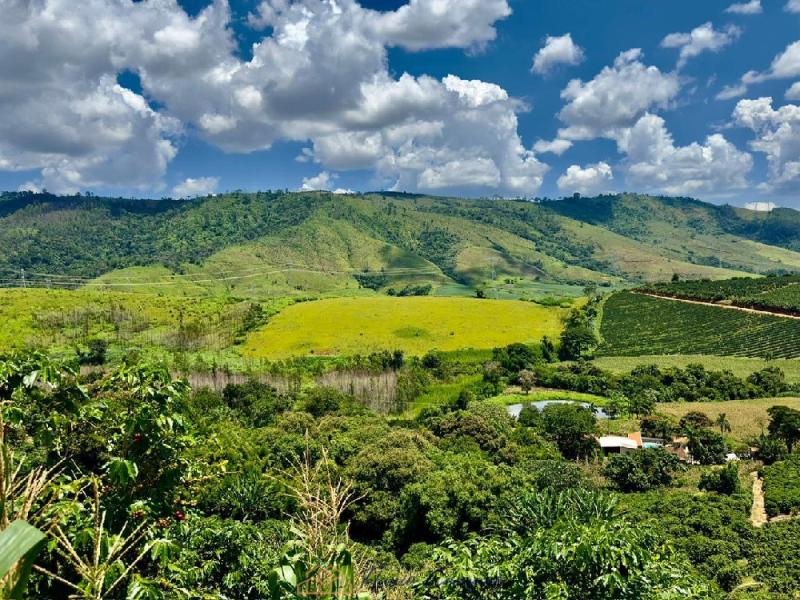 SITIO EM SERRA NEGRA-SP