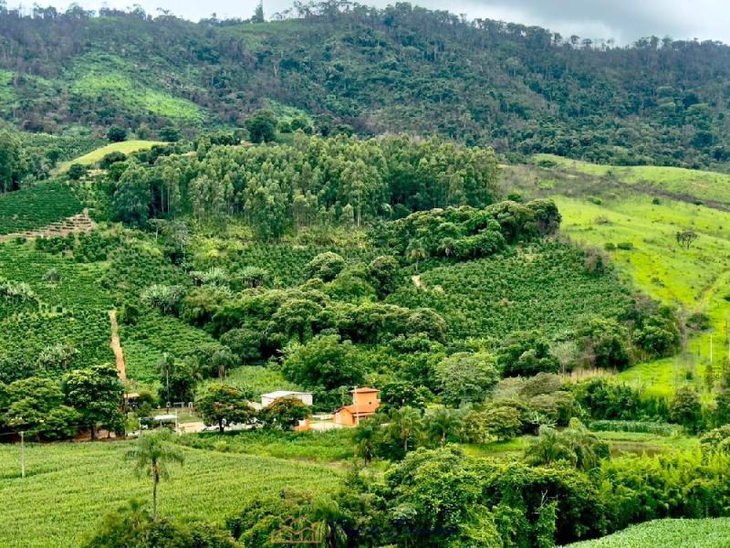 SITIO EM SERRA NEGRA-SP
